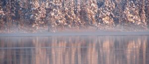 stockholms-basta-julbord-krog-sjokrog-avec